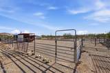 7001 Camino Aurelia - Photo 42