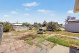 2932 Sago Circle - Photo 4