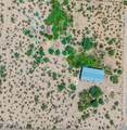10650 Knoll Crest Lane - Photo 33