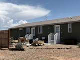 3302 Thunderbird Trail - Photo 39