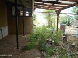 8651 Kitty Mow Trail - Photo 24