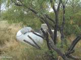 8651 Kitty Mow Trail - Photo 32