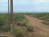 8651 Kitty Mow Trail - Photo 33