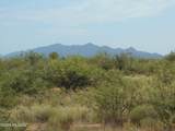 8651 Kitty Mow Trail - Photo 41
