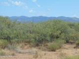 8651 Kitty Mow Trail - Photo 46