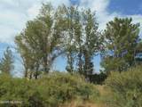 8651 Kitty Mow Trail - Photo 48