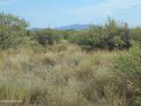 8651 Kitty Mow Trail - Photo 49