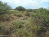8651 Kitty Mow Trail - Photo 50