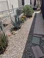 260 Land Avenue - Photo 17
