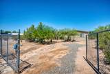 11350 Najo Lane - Photo 1