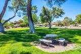 372 Paseo Pena - Photo 47