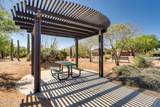 8158 Circulo El Palmito - Photo 49