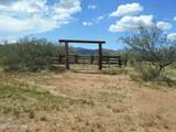 1077 Central Road - Photo 31