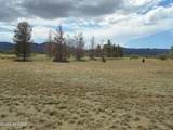 1077 Central Road - Photo 39