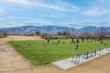 14140 Lobelia Way - Photo 41