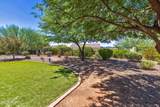 31728 Summerwind Drive - Photo 43