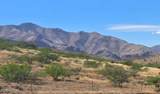 286 Palm Road - Photo 30