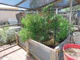 84 Dorothy Avenue - Photo 12