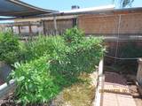 84 Dorothy Avenue - Photo 13