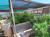 84 Dorothy Avenue - Photo 14