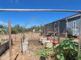 84 Dorothy Avenue - Photo 16