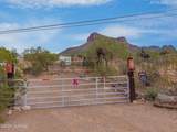 10380 Massingale Road - Photo 19