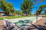 372 Paseo Sarta - Photo 49