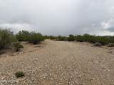 11880 Desert Oasis Trail - Photo 35