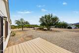 13998 Race Horse Place - Photo 10