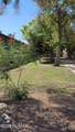 1348 Avenida Polar - Photo 23