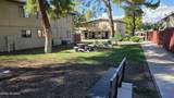1348 Avenida Polar - Photo 26