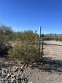 9690 Sky Blue Drive - Photo 25