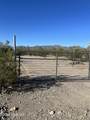 9690 Sky Blue Drive - Photo 26