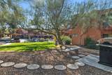5051 Sabino Canyon Road - Photo 13