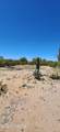 6465 Hot Desert Trail - Photo 21