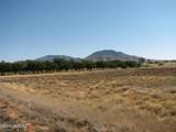 3402 Mesquite Road - Photo 36