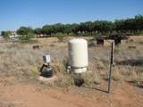 3402 Mesquite Road - Photo 38