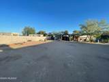 9811 Giant Ocotillo Way - Photo 15
