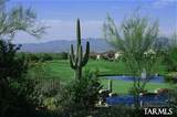 5320 Christmas Cholla Street - Photo 19