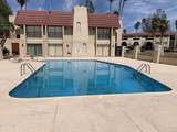 441 Yucca Court - Photo 24