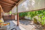 277 Paseo Sarta - Photo 30