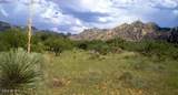000 Cougar Trail - Photo 1