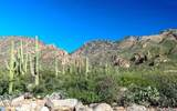 6655 Canyon Crest Drive - Photo 41