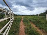 10632 Double U Ranch Road - Photo 9