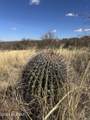  6.6 Acres Off W Linda Vista Road - Photo 14