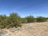 21acres Saguaro & Agave Road - Photo 16