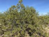 21acres Saguaro & Agave Road - Photo 19