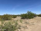 21acres Saguaro & Agave Road - Photo 21
