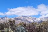 4711 Paseo Sonoyta - Photo 45