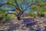 4711 Paseo Sonoyta - Photo 49